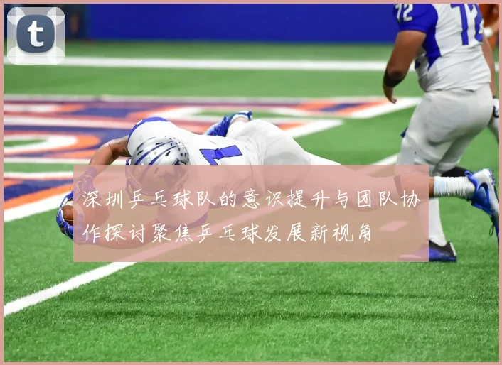 深圳乒乓球队的意识提升与团队协作探讨聚焦乒乓球发展新视角